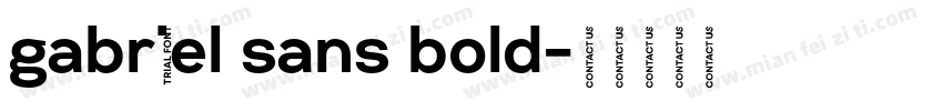 gabriel sans bold字体转换